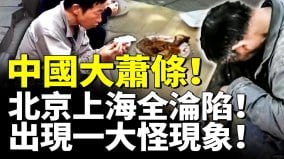 中国大萧条北京上海全沦陷出现一大怪现象打工人挣扎救生(视频)