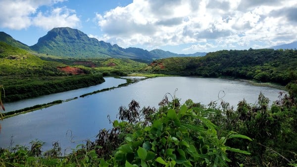 夏威夷 梅內湖內  魚池 水 雲 天空 植物 山 529809565
