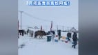 “老天在为谁申冤”青海7月天降鹅毛大雪引热议(组图)