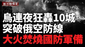 突破俄空防线重创后方军事重镇毁国防军装备(视频)