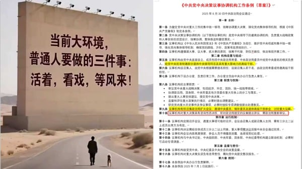 朋友圈盛傳活著、看戲、等風來，網傳「條例」造假