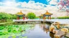 俗语“四十多欲大势已去”下半句也很现实(图)