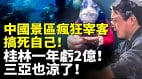 中國景區瘋狂宰客結果搞死自己桂林一年虧2億三亞也涼了(視頻)