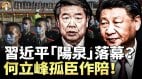 身心憔悴的习总为何副手伴他灰溜溜地去“阳泉”(视频)