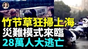 台风天满目疮痍民宅店铺挨淹上班女崩溃(视频)