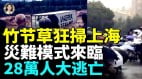台风天满目疮痍民宅店铺挨淹上班女崩溃(视频)