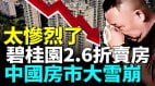 中國房地產市場正面臨史無前例的「雪崩」(視頻)