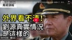 外界乱猜刘源真实情况是这样的(视频)