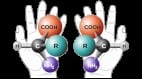 中共“镜像生命”威胁堪比生物科技的“核武器”(图)