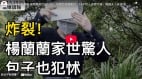大瓜炸裂超想象杨兰兰家世被扒出(视频)