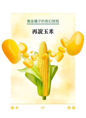 黄金种子的奇幻旅程 再说玉米