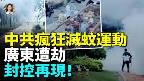 中共極端操作再升級全民抽血警察開鎖入戶消殺廣東花草都遭殃(視頻)