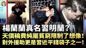 杨兰兰真名习明兰天价稿费纯属贫穷限制了想像对外援助更是习近平钱袋子之一外联部长被抓谁在下一局大棋(视频)
