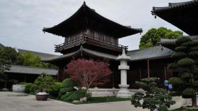 僧人山中修行竟遇見千歲之人(圖)