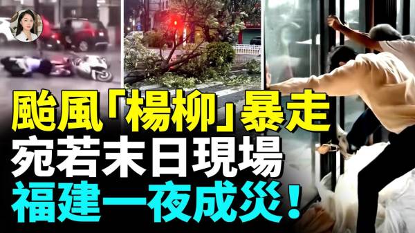狂风暴雨侵袭半个中国泡水里佛山防蚊秒变水上威尼斯(视频)