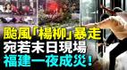 狂风暴雨侵袭半个中国泡水里佛山防蚊秒变水上威尼斯(视频)