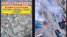 繼廣東後廣西多地爆發基孔肯亞熱疫情(圖)