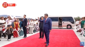 胡春华同行张升民监督习西藏行遭“政治羞辱”(图)
