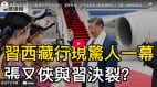 习西藏行现惊人一幕张又侠与习决裂(视频)