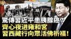 习近平为何频访寺庙惊传习已患癌症齐心为子入雍和宫上香祈福还是表演习频进寺庙与西藏之行藏密码(视频)