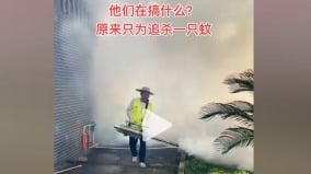 “蚊子未死人先中毒”广东大面积消杀蚊子引众怒(组图)