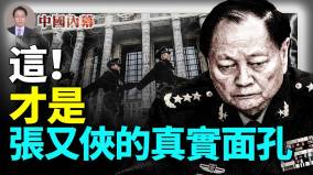 這才是張又俠的真實面孔(視頻)