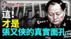 這才是張又俠的真實面孔(視頻)
