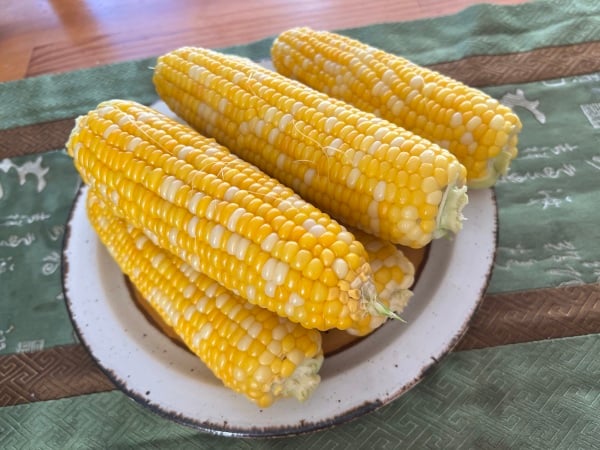 玉米