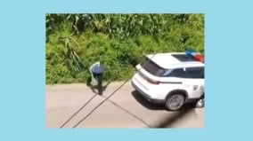 “警察开警车偷玉米”视频热传网批太丢人(图)