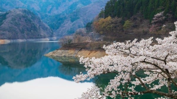 东京