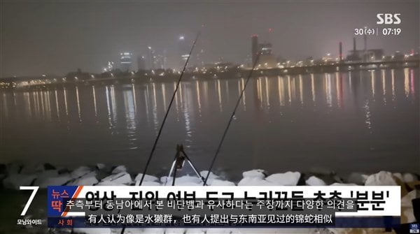 韩国汉江神秘巨型黑影怪物传闻背后的真相与猜测(图)