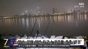 韩国汉江神秘巨型黑影怪物传闻背后的真相与猜测(图)