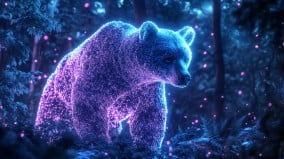森林裡的「牠」那些像熊卻不是熊的怪異目擊(圖)