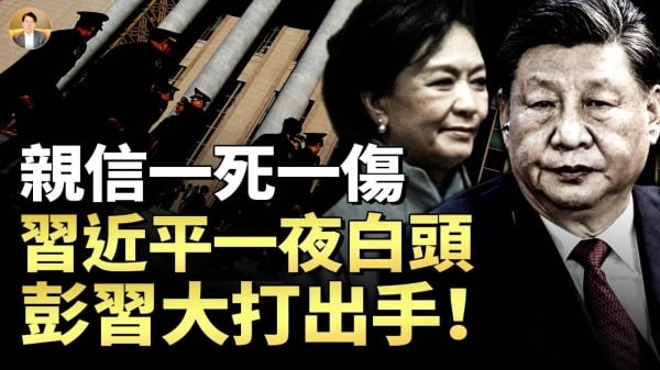 习近平向张又侠道歉：身带弓的不止你一个彭丽媛为苗华发声骂习蠢猪(视频)