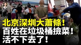 北京深圳大萧条一夜间天塌了百姓在垃圾桶捡剩菜(视频)