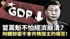預言家說「中共和習同步垮臺」中國人返貧有多慘中共為何不怕經濟崩潰(視頻)