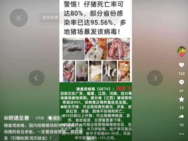 豬瘟