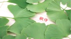 想与你平分秋色：“秋分”到底分了什么(组图)