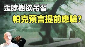 歪脖樹欲吊習近平帕克預言恐將提前應驗(視頻)