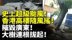 史上超級颱風來了宛如世界末日香港高樓隨風搖摧毀廣東大樹連根拔起(視頻)