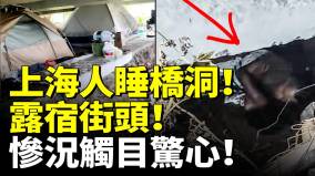 上海人睡橋洞露宿街頭慘況觸目驚心(視頻)