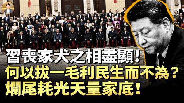 从神助到天弃习作死之路拔一毛利民生而不为烂尾耗光天量家底(视频)