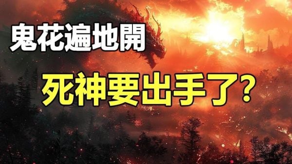 鬼花遍地開死神要出手了(視頻)
