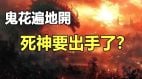 鬼花遍地開死神要出手了(視頻)