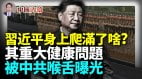 习近平身上爬满了啥中共喉舌卖了习近平播出其重大健康问题(视频)