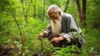 不显山露水的老人竟是武功高手(图)