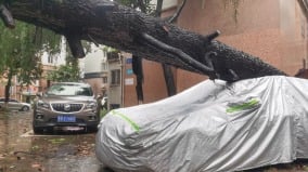 台风“塔巴”登陆广东多地紧急通知停课停运(组图)