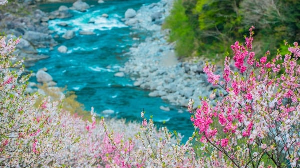 桃花源 小溪(16:9)