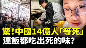 中國人有多慘各行各業加入内捲風波商鞅五民術看懂了嗎(視頻)