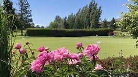 时光随笔：在开满鲜花的天堂(组图)